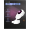 Умная камера видеонаблюдения WIFI IP 2Мп 1080P TD20