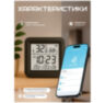 Умный WIFI датчик температуры и влажности S09